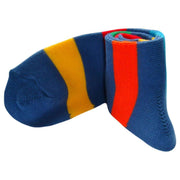Bassin and Brown Multi Stripe Socks - Blue