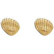 Elements Gold Shell Stud Earrings - Yellow Gold