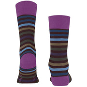 falke-tinted-stripe-socks---rioja-purple-34390071