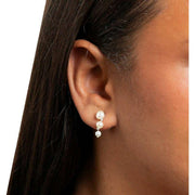 Beginnings Gradient Freshwater Pearl Drop Earrings - Silver/White