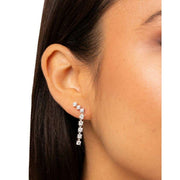 Beginnings Gradient Long Drop Earrings - Silver