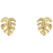 Beginnings Monstera Leaf Stud Earrings - Gold