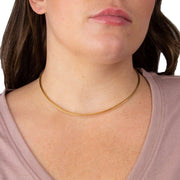 Beginnings Omega Chain Necklace - Gold