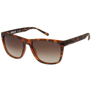 CAT Deeper Square Sunglasses - Tortoise Shell Brown