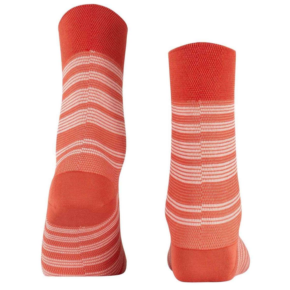 Wereldwijd Meerdere Gezond Papaya oranje falke dames gevoelige zonsondergang streep sokken - kj beckett