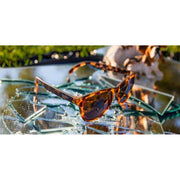 Goodr Bosleys Basset Hound Dreams Sunglasses - Tortiseshell Brown