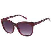 Radley London Rounded Cat Eye Sunglasses - Purple
