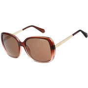 Superdry Oversized Butterfly Sunglasses - Brown
