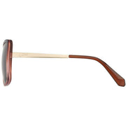 Superdry Oversized Butterfly Sunglasses - Brown