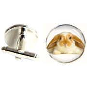 Bassin and Brown Rabbit Cufflinks - Beige/White