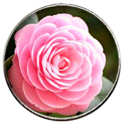 Bassin and Brown Rose Key Ring - Pink