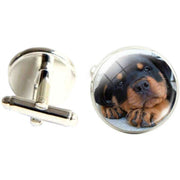 Bassin and Brown Rottweiler Cufflinks - Brown/Black