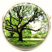 Bassin and Brown Round Tree Cufflinks - Green/Brown