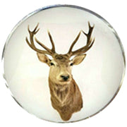 Bassin and Brown Stags Head Cufflinks - Brown/White