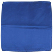 Knightsbridge Neckwear Ribbed Silk Pocket Square - Blue