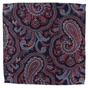 Michelsons of London Paisley Tie and Pocket Square Set - Coral