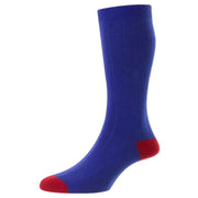 Scott Nichol Burford Organic Cotton Socks - Royal Blue