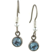 Ti2 Titanium Medium Gem Stone Drop Earrings - Blue